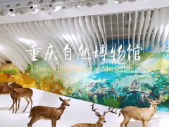 -重庆自然博物馆(新馆)