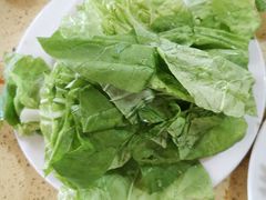 生菜-东巴谷野生菌火锅餐厅