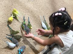 -上海大自然野生昆虫馆(东方明珠·爬宠昆虫探索中心)