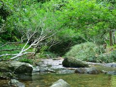 -万泉河漂流