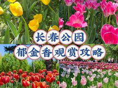 -长春公园(普阳街道)