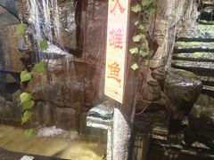 -柴米油盐(土菜院子店)