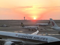 -上海浦东国际机场-T2航站楼