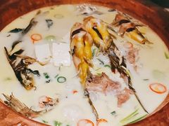 -佬麻雀·剁椒鱼头(京基KK One店)