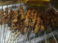 牛肉筋-北三老太太烧烤(人生一串上榜店)