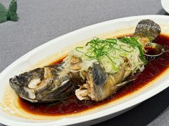 -怡情荟•海鲜青岛菜(五四广场旗舰店)
