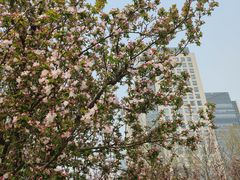 -海棠花溪(元大都城垣遗址公园)