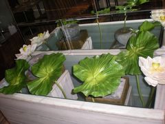 -佶政筋饼·新概念(安阳路店)