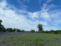-同里国家湿地公园