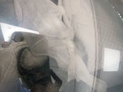 -宠福鑫康馨动物医院·骨科·眼科