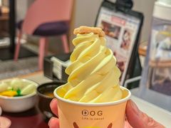 -dodonpa.墩墩伐 便当食堂(博华广场店)