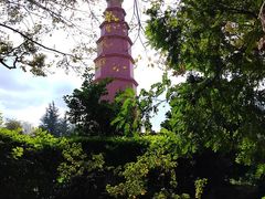 -抚仙湖禄充风景区