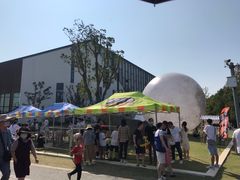 -上海长兴岛郊野公园