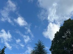 -白塘生态植物园