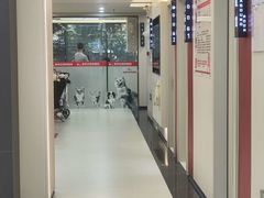 -御宝贝24h宠物医院·转诊中心·CT核磁血透中心(厦门总院)