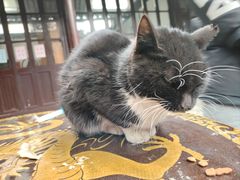 -西园戒幢律寺