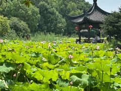 -丝绸小镇荻港古村