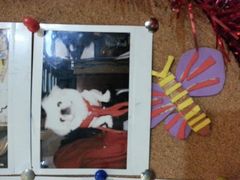 android_upload_pic-做了不起的80后