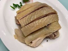 -新吉士·上海菜(浦东LCM置汇旭辉店)