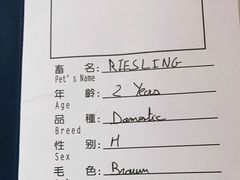 -申普宠物医院·心脏介入·心血管微创(总院)