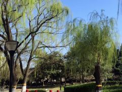 -玲珑塔公园