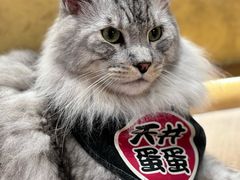 -天井·丑面包搭咖啡