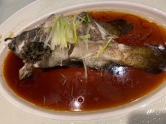 -翠园(北京王府中环店)