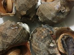 观音螺-渔中舟海鲜大排档(普陀沈家门店)