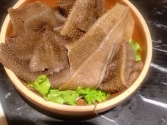 -杨家火锅(国美店)