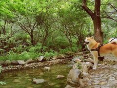 -静之湖度假区