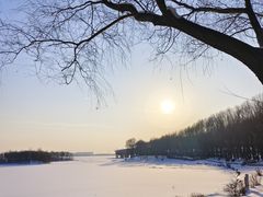 -丁香湖公园