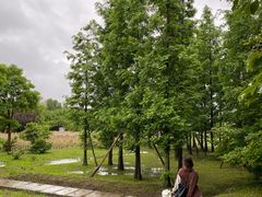 -贵阳市花溪国家城市湿地公园