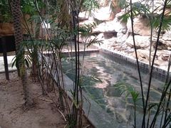 -龙达温泉生态城