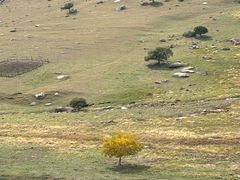 -克什克腾世界地质公园青山景区