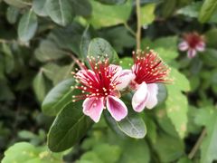 -呼吸森林·生态农庄农家乐私房菜