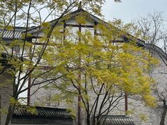 -龙潭水乡