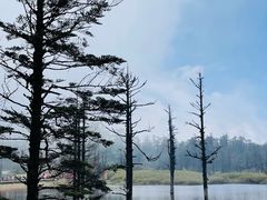 -瓦屋山景区