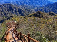 -大岭沟猕猴桃谷风景区