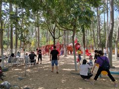 -合肥滨湖国家森林公园