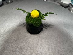 -南堂馆·新川菜(春熙路店)