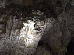 -怀托摩萤火虫洞