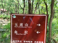 -玉渡山自然风景区