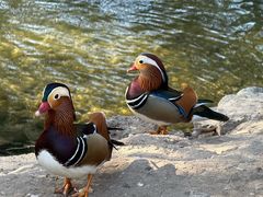 -汉巴味德(北京银座和谐广场店)