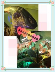 -恐龙探索乐园(磁器口店)