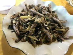 -幽优农庄·森波拉特色本地农家菜