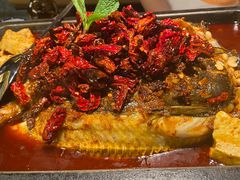 重庆豆花烤鱼-探鱼·鲜青椒爽麻烤鱼(朝阳悠唐广场店)