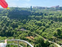 -磐安舞龙峡景区