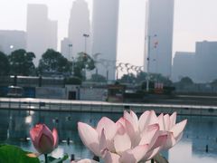 -秋水广场