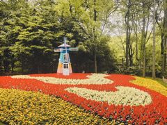 -上海共青森林公园