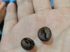 -巴厘岛黄金金兔咖啡工厂